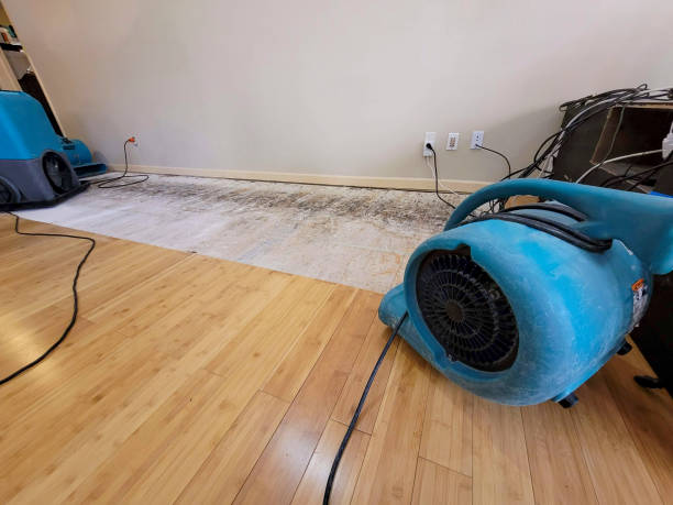 Professional Flood Damage Cleanup technician working in Port Hueneme Cbc Base, CA